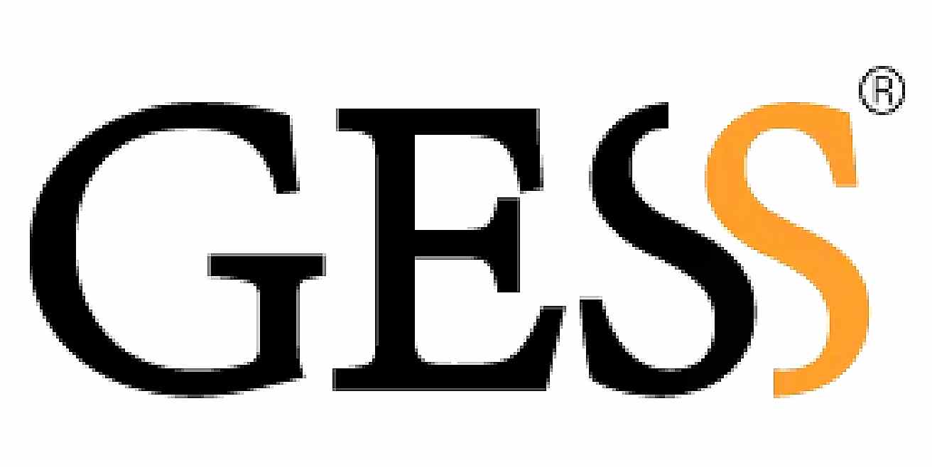 GESS GESS
