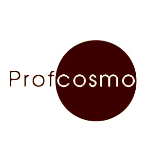 г. Астана, офис "Profсosmo" г. Астана, офис "Profсosmo"